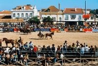 Понте-де-Лима приглашает на VIII Ярмарку лошадей