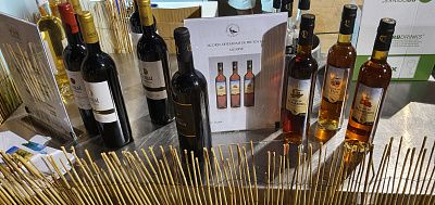Португалия — Порту — Винный фестиваль — дегустация 200 видов вина за 15 евро