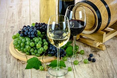 Молдово-португальское вино станет реальностью